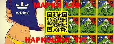 шишки Сланцы