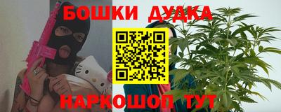 шишки Сланцы
