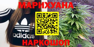 шишки Сланцы