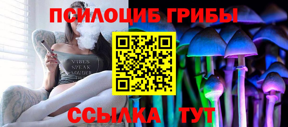 Галлюциногенные грибы Psilocybine cubensis Октябрьский